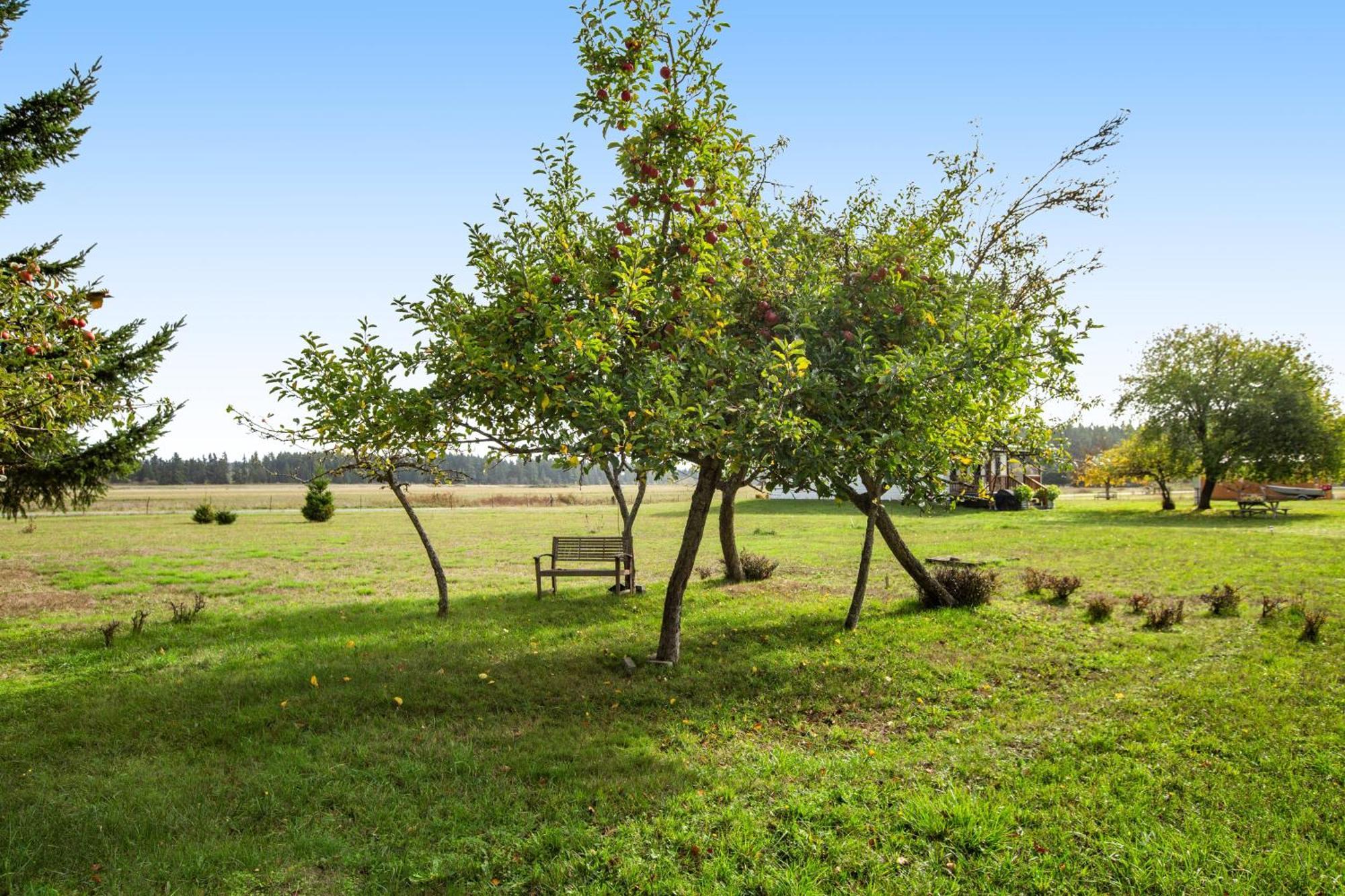 Historic Officer'S Farmhouse At Olf Coupeville Dış mekan fotoğraf